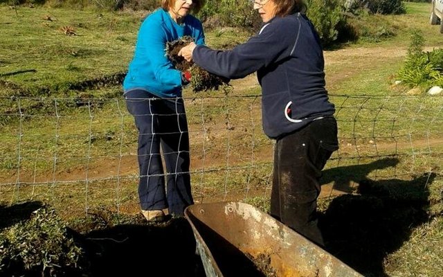 Gansbaai What a difference a Mandela Day makes 2
